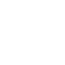 WSP USA