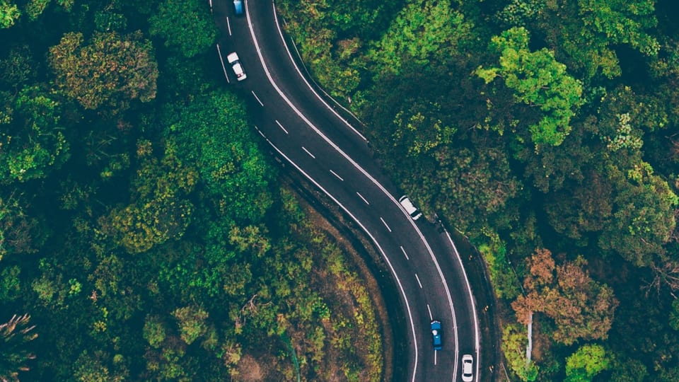 A road curving through a forest, from above